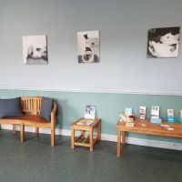 Hendricks Veterinary Hospital LLC ico