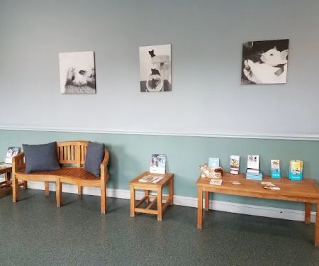 Hendricks Veterinary Hospital LLC