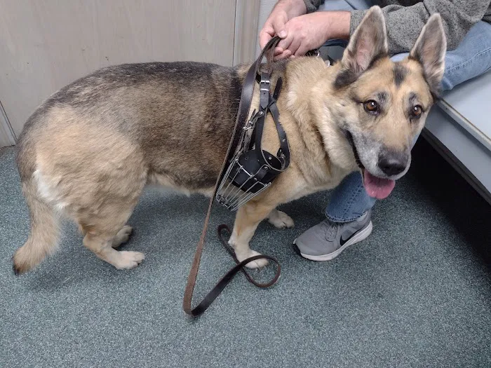Hendricks Veterinary Hospital LLC Picture 2
