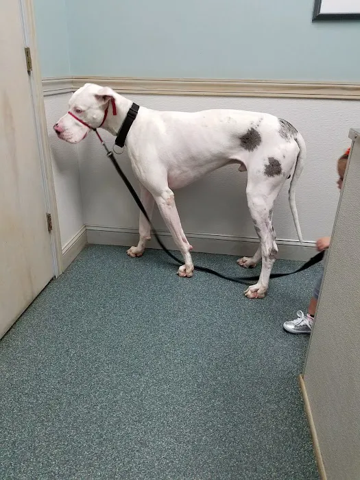 Hendricks Veterinary Hospital LLC Picture 4