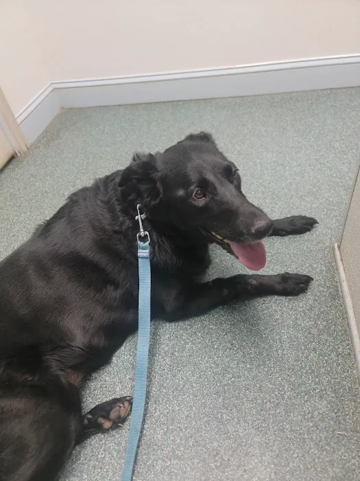 Hendricks Veterinary Hospital LLC Picture 6