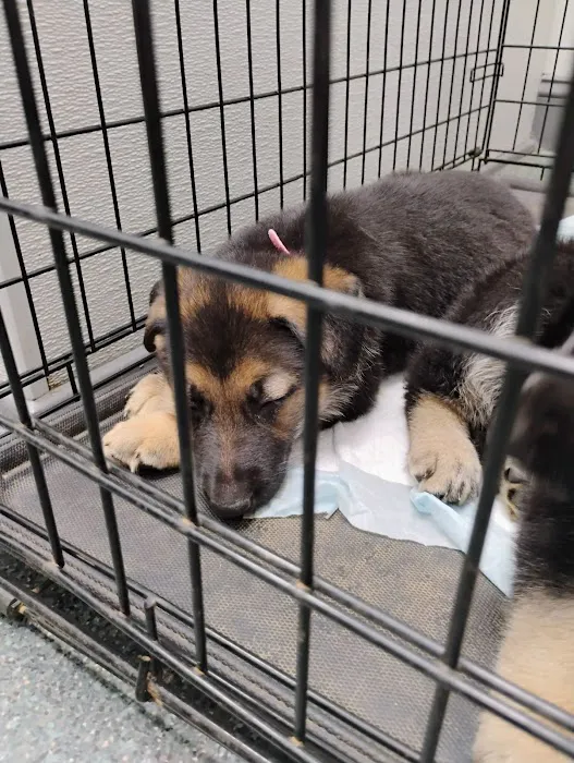 Hendricks Veterinary Hospital LLC Picture 9