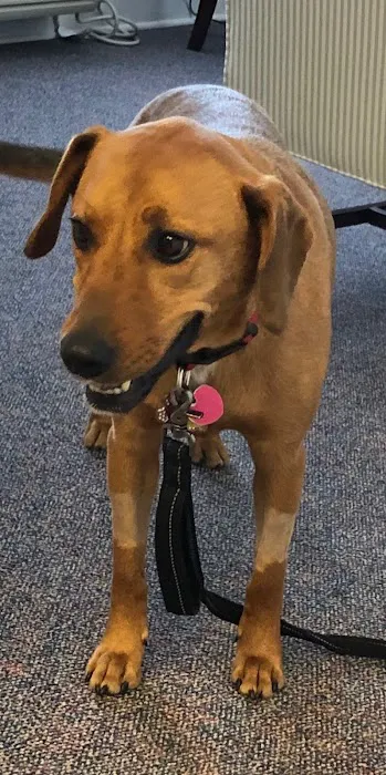 Magnolia Veterinary Hospital Picture 5