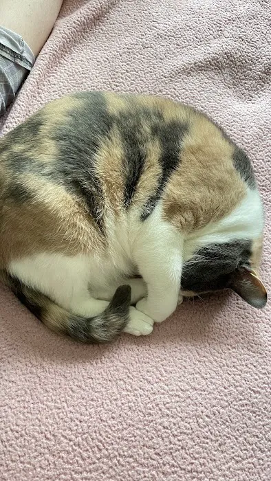 Magnolia Veterinary Hospital Picture 6