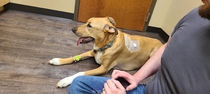 Magnolia Veterinary Hospital Picture 7