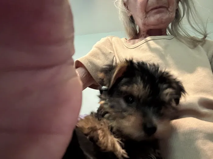 Magnolia Veterinary Hospital Picture 9