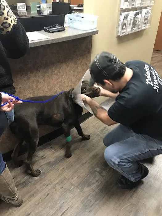 Magnolia Veterinary Hospital Picture 10