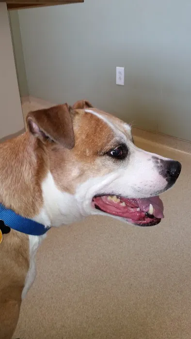 Paw Prints Animal Hospital Picture 3