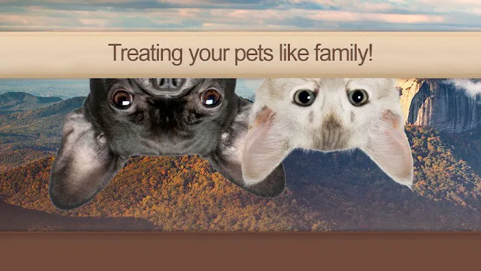 Paw Prints Animal Hospital Picture 5