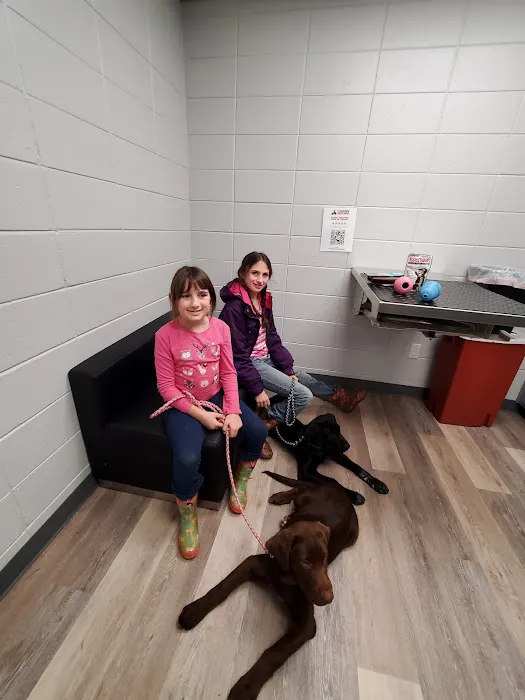 Clearview Animal Hospital Picture 1