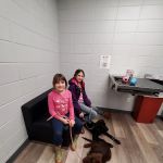 Clearview Animal Hospital