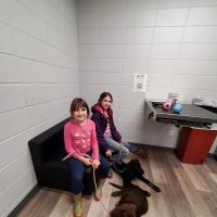 Clearview Animal Hospital ico
