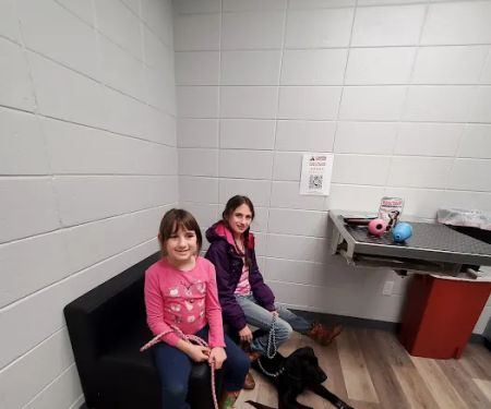 Clearview Animal Hospital