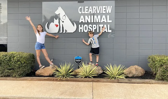 Clearview Animal Hospital Picture 4