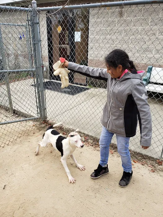 The Humane Society-Spay/Neuter/Vaccine Clinic Picture 4