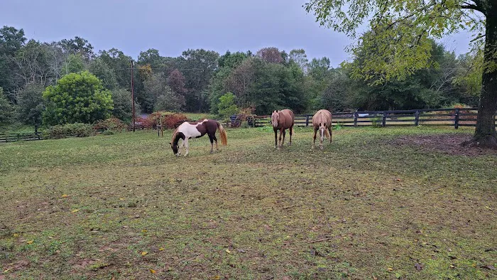 Town & Country Animal Hospital Picture 3