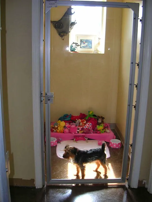 Northeast Veterinary Hospital: Woller, Nicole DVM Picture 4