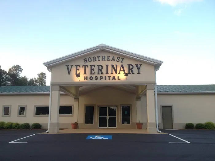 Northeast Veterinary Hospital Picture 3
