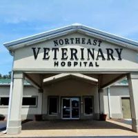 Northeast Veterinary Hospital ico
