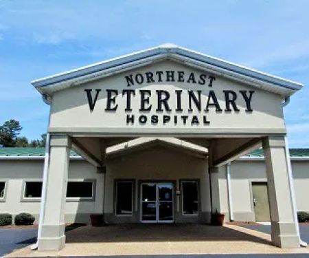 Northeast Veterinary Hospital