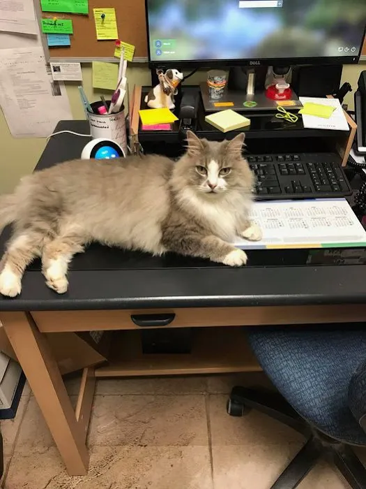 Northeast Veterinary Hospital Picture 8