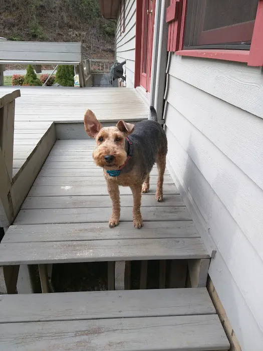 Peachtree Veterinary Hospital Picture 5