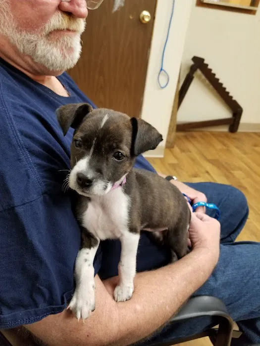 Peachtree Veterinary Hospital Picture 4