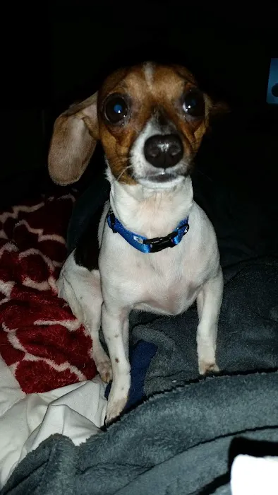 Peachtree Veterinary Hospital Picture 10