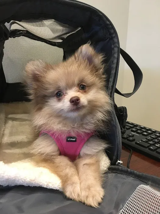 Murphy Animal Clinic Picture 8