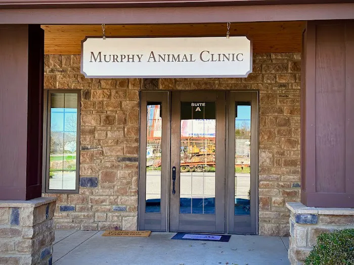 Murphy Animal Clinic Picture 10