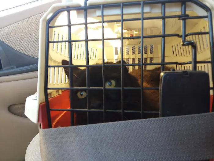 Alpine Animal Hospital, PC Picture 4