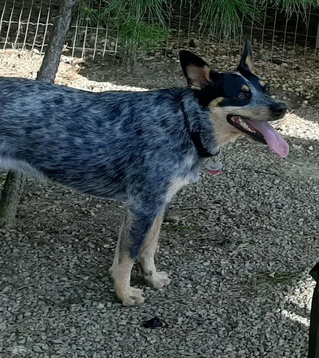 Alpine Animal Hospital, PC Picture 5