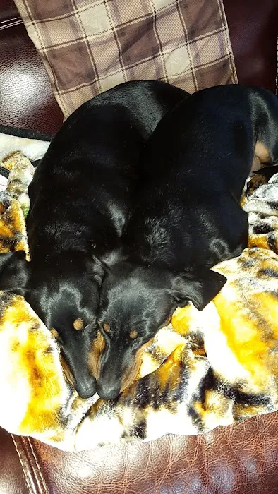 Alpine Animal Hospital, PC Picture 9
