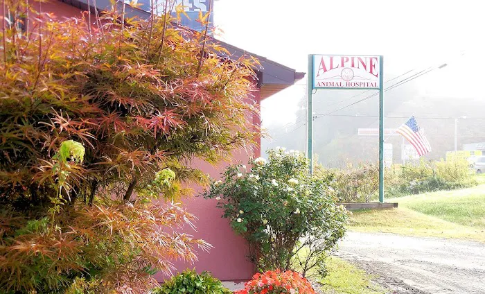 Alpine Animal Hospital & Veterinary Services Picture 2