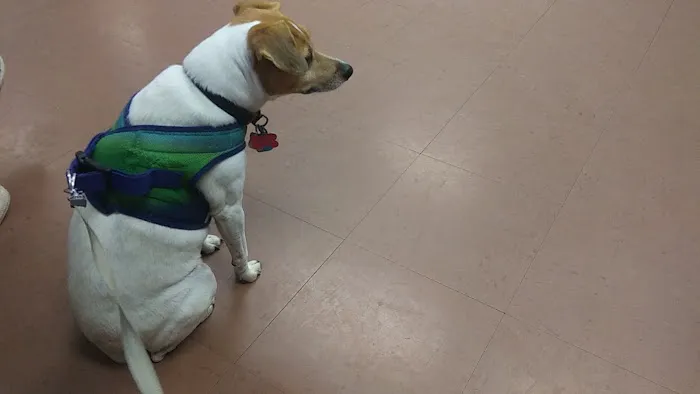 Alpine Animal Hospital & Veterinary Services Picture 3