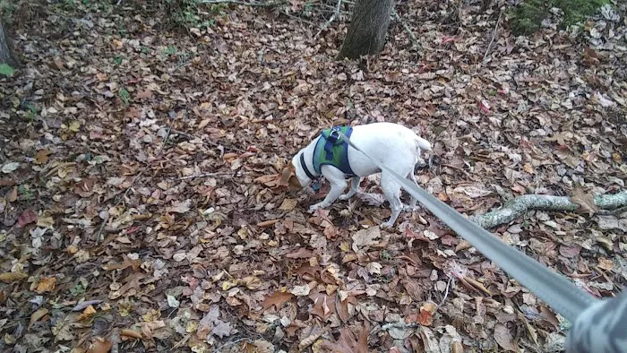 Alpine Animal Hospital & Veterinary Services Picture 4