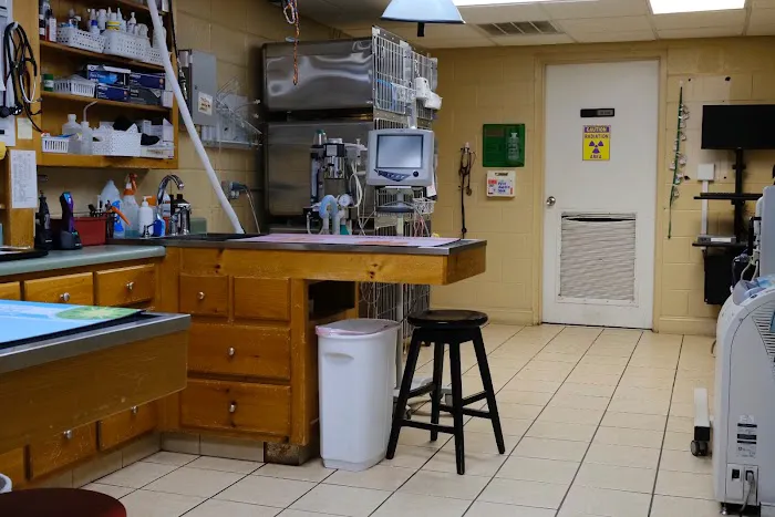Blairsville Animal Hospital Picture 2