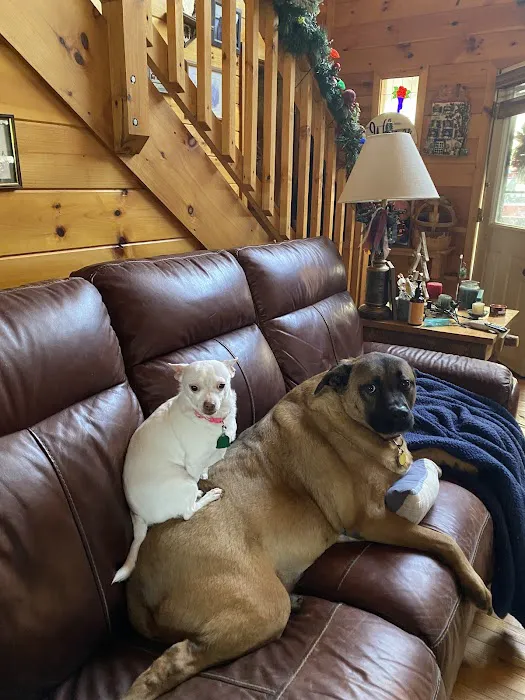 Blairsville Animal Hospital Picture 8
