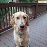 Union County Veterinary Clinic ico