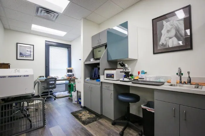 Nottely Oaks Animal Hospital Picture 2
