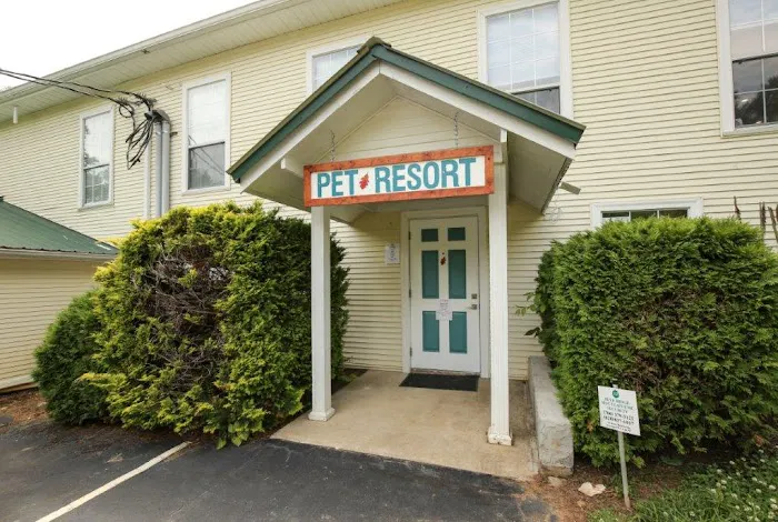 Nottely Oaks Animal Hospital Picture 6