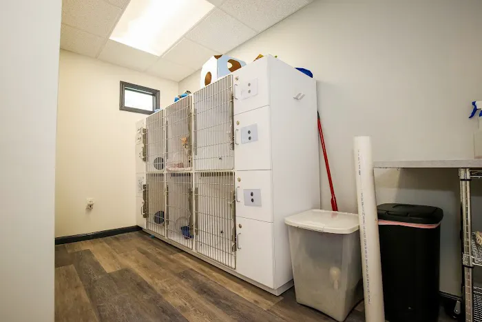 Nottely Oaks Animal Hospital Picture 4