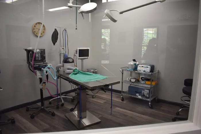 Nottely Oaks Animal Hospital Picture 7