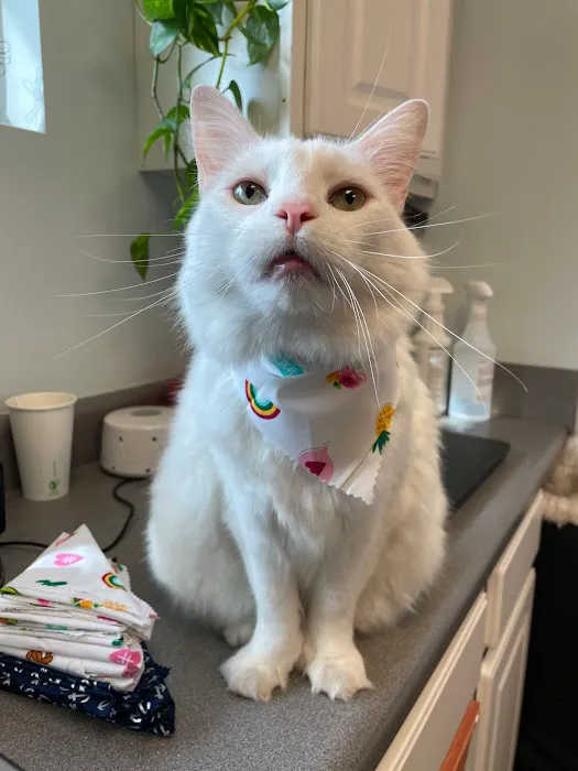Porters Neck Veterinary Hospital Picture 3