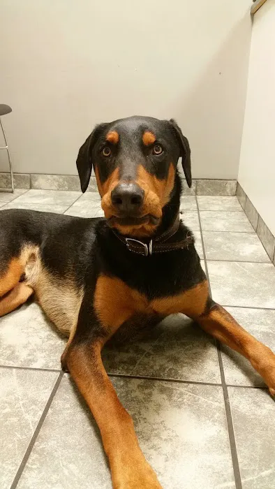 Porters Neck Veterinary Hospital Picture 4