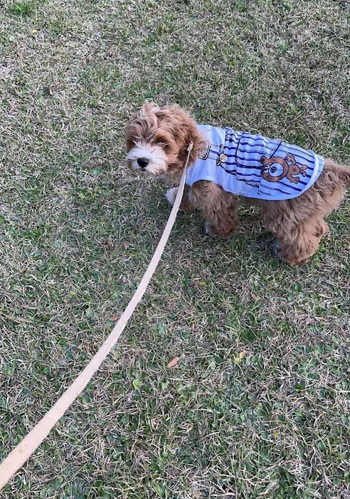 Wilmington Animal Healthcare Veterinary Hospital Picture 7