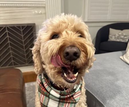 Banfield Pet Hospital
