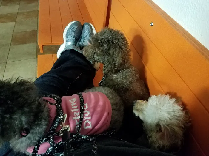 Banfield Pet Hospital Picture 2