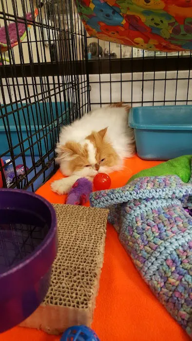 Banfield Pet Hospital Picture 4