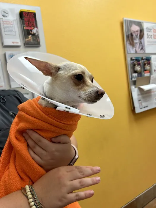 Banfield Pet Hospital Picture 10